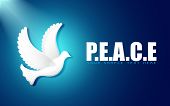 picture of peace  - illustration of flying dove on peace background - JPG 