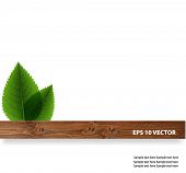 image of objects  - Green leaves with wood - JPG 