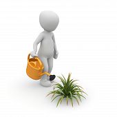foto of pour  - A character pours a plant with a watering can - JPG 