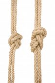 stock photo of cord  - ship ropes with a knot isolated on white background - JPG 