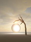 picture of portal  - A tree hanging over a crystal portal to another world - JPG 