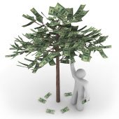 picture of money  - A person stands next to a money tree picking its fruit - JPG 