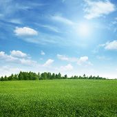 pic of outdoor  - Beautiful summer landscape - JPG 