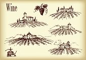 picture of france  - Vector hand drawn vineyard - JPG 