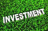 foto of investment  - Growing Investment and Wise Growth of Wealth - JPG 