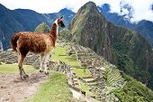 stock photo of pre  - Ancient Inca lost city Machu Picchu - JPG 