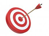 foto of competition  - Target with arrow - JPG 