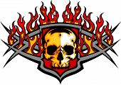 picture of skull  - Graphic skull vector image template with flames - JPG 
