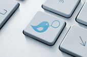 image of business concept  - Blue bird with speech bubble on keyboard button - JPG 
