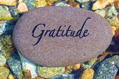 image of nature  - Word Gratitude engrained on a rock in a fresh water creek - JPG 