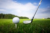 image of golf  - Playing golf - JPG 